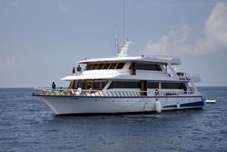 Maldives Liveaboard - Conte Max.